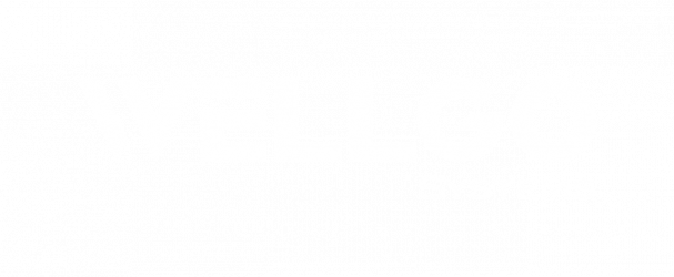 WELLGO Systems